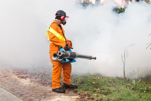 Fogging Schedule For March 11 – 15