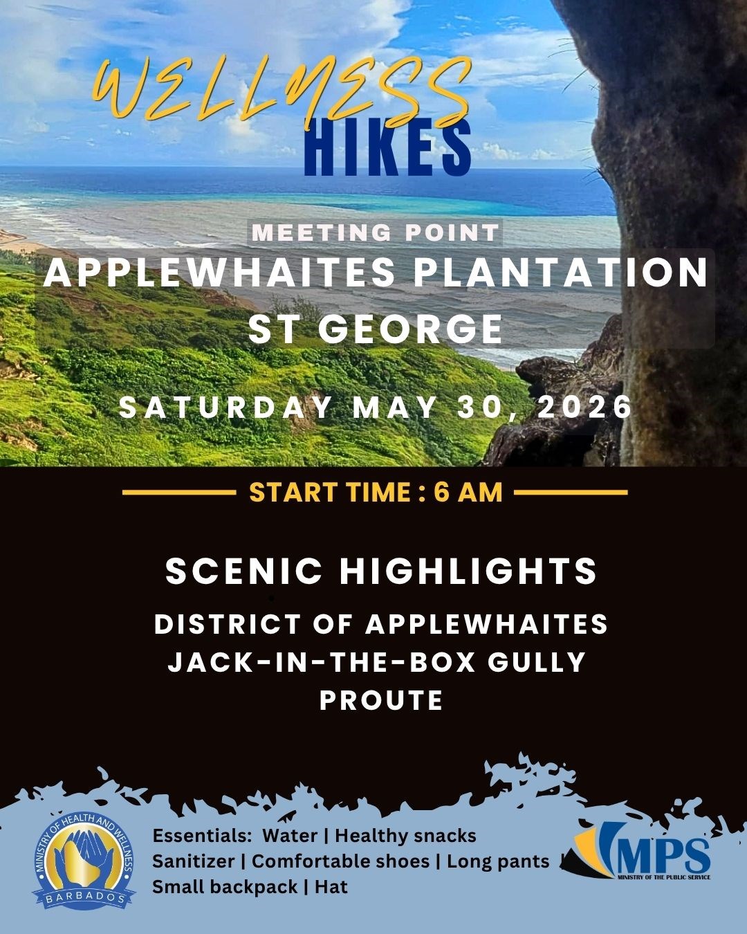 WELLNESS HIKES ARE BACK!