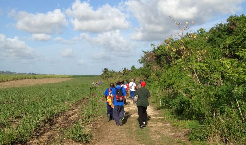 Ministries Of Health & Public Service Partnering To Hold Wellness Hikes