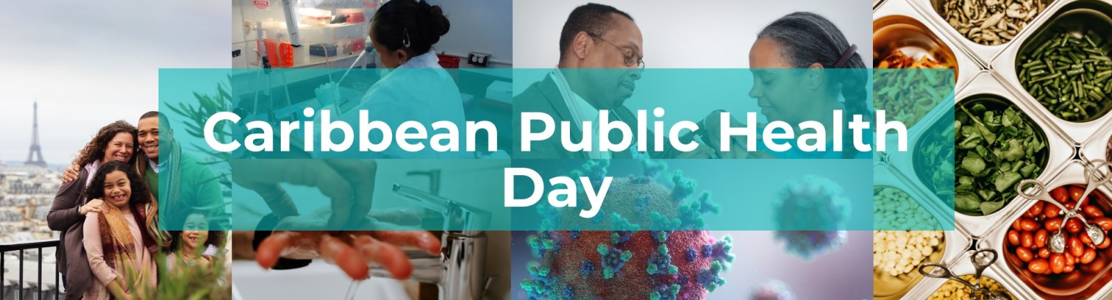 Caribbean Public Health Day
